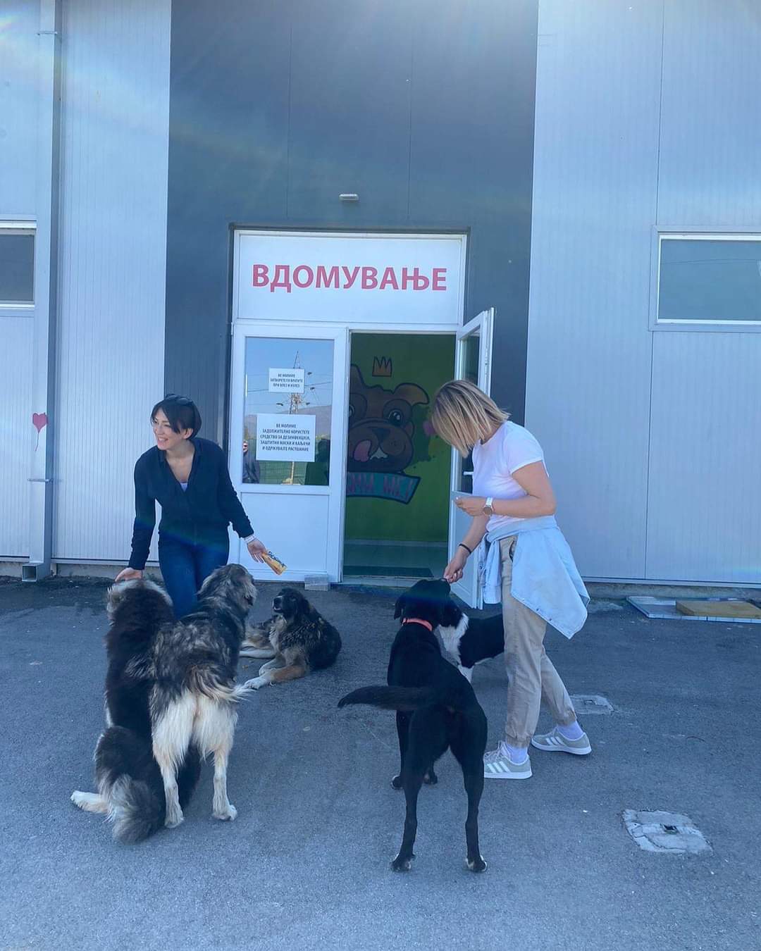 viber_image_2024-08-06_11-30-25-644